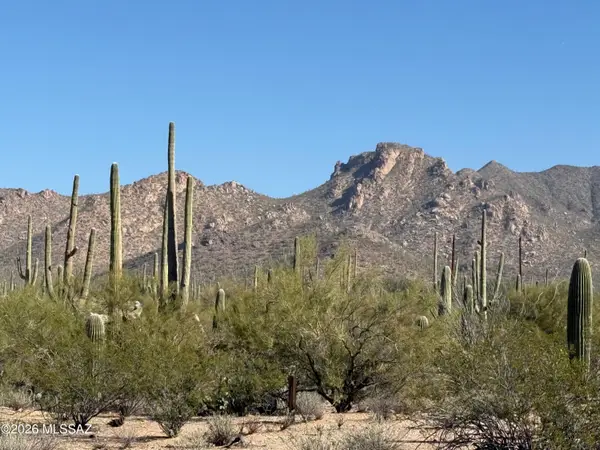 Tbd Parcel B Sandario Rd, Tucson, AZ 85743