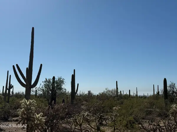 TBD Parcel E Sandario Rd, Tucson, AZ 85743