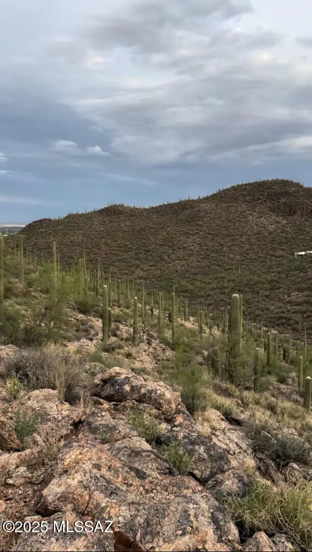 2391 W Old Ajo Way #174C, Tucson, AZ 85746 - Image #2