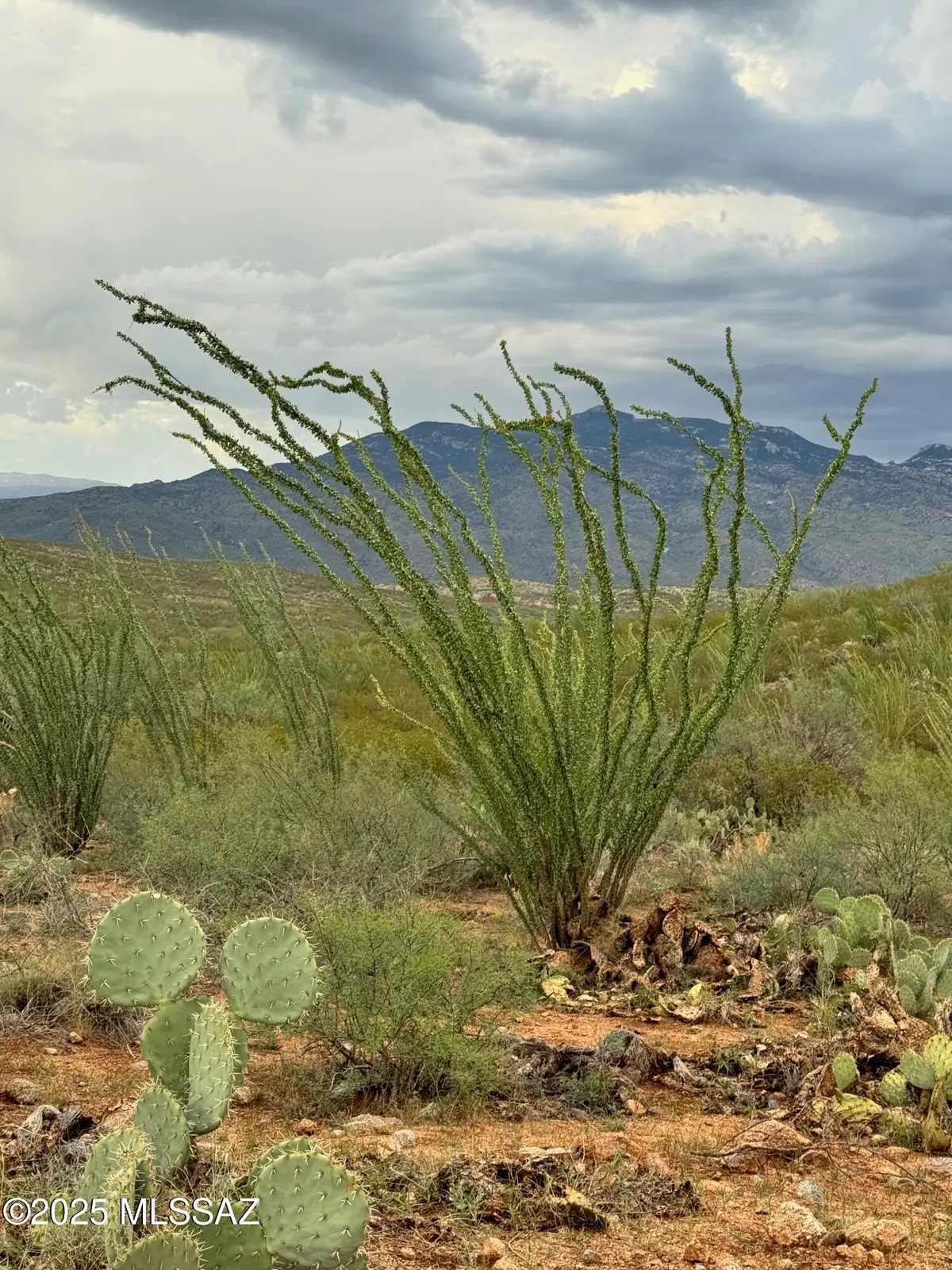 00 Justa Road, Vail, AZ 85641 - Image #1