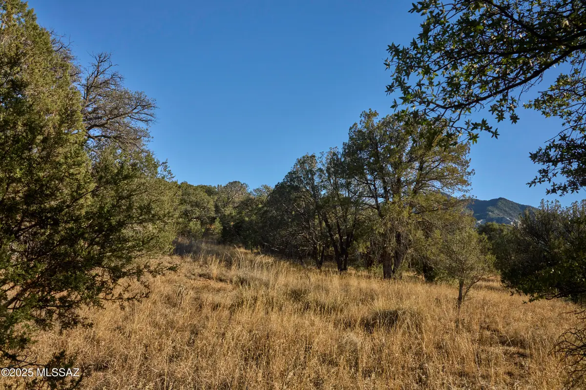 TBD Paradise, Portal, AZ 85632 - Image #1