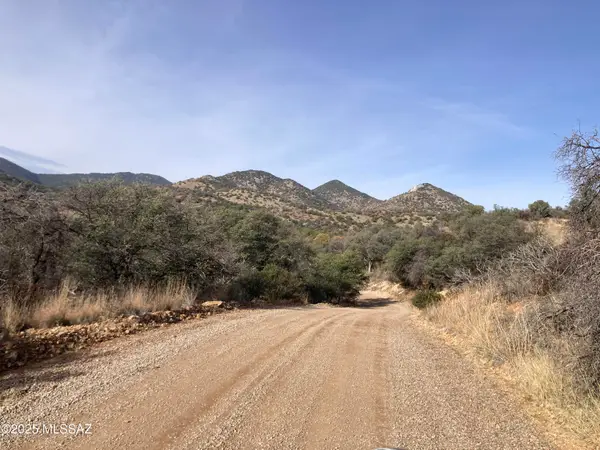 Old Duquesne Road #2, Patagonia, AZ 85624