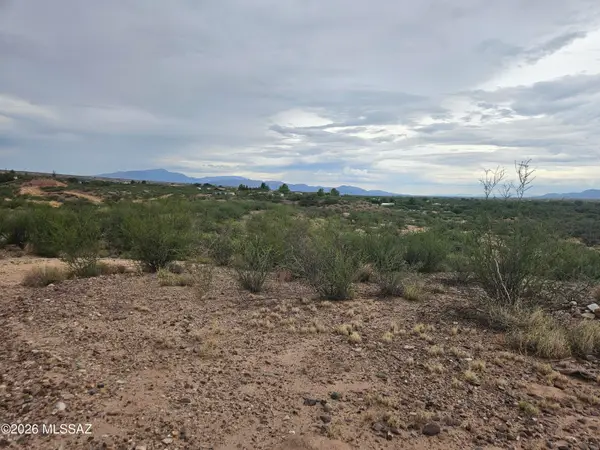 1115 N Mill Iron, St. David, AZ 85630