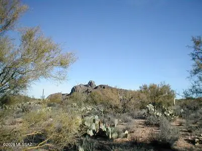 000 N Hannibal, Marana, AZ 85658