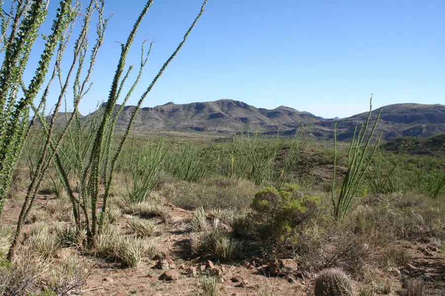 37 Copper Canyon, Tumacacori, AZ 85640 - #3