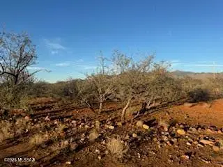 507 Via Camote, Rio Rico, AZ 85648 - Image #3