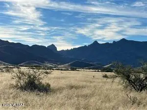 TBD Newland St. Vacant Parcel, Pearce, AZ 85625