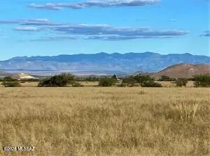 TBD Newland St. Vacant Parcel, Pearce, AZ 85625 - Image #2