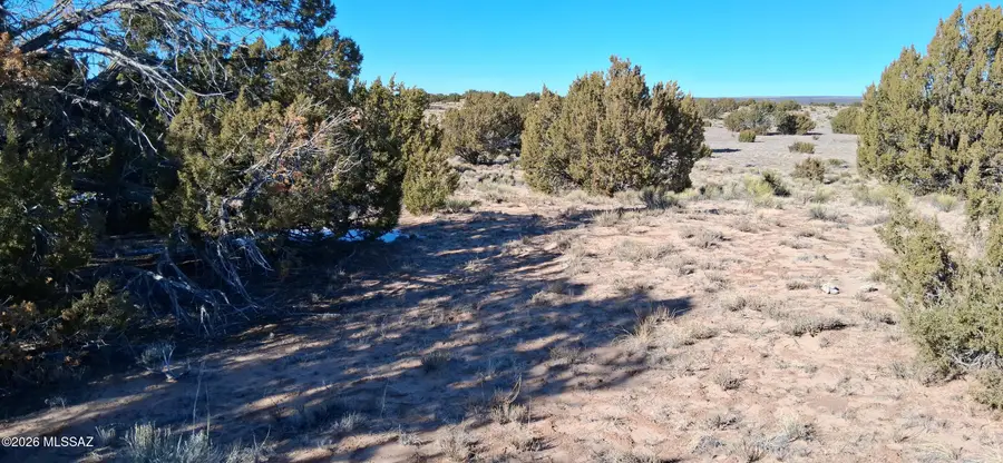 38 Acres 24 County Rd N6578, Saint Johns, AZ 85936 - Image #2