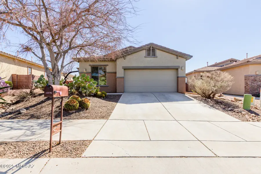 12576 N Gentle Rain, Marana, AZ 85658 - #2