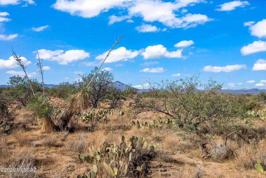 14080 Duane, Tucson, AZ 85736 - Image #3