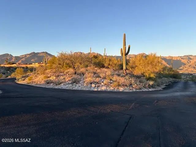 4320 N Painted Quail, Tucson, AZ 85750 - Image #2