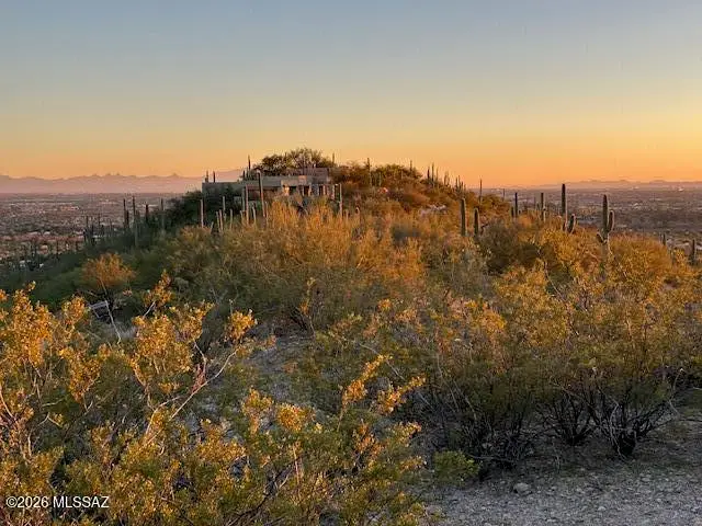 4320 N Painted Quail, Tucson, AZ 85750 - Image #3