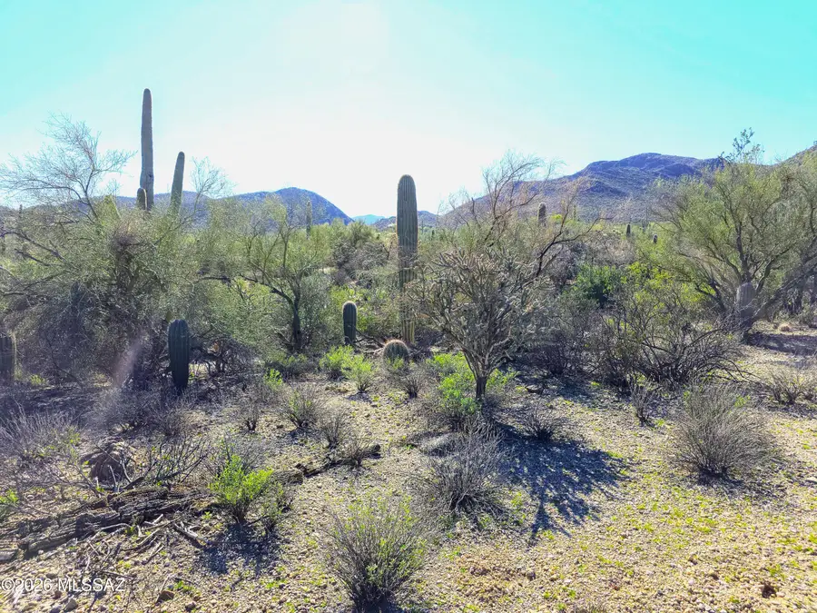 909 N Camino De Oeste, Tucson, AZ 85745 - Image #2