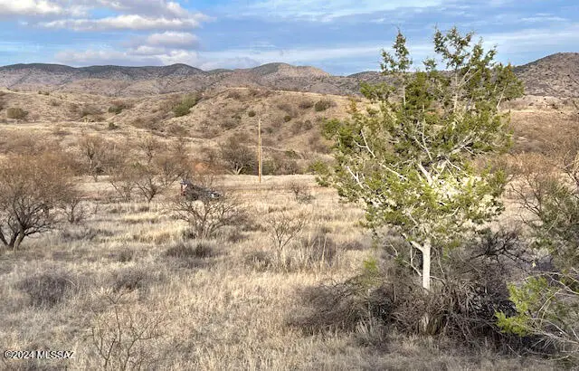 Lot  D2 Stevens Canyon, Sonoita, AZ 85637 - #2