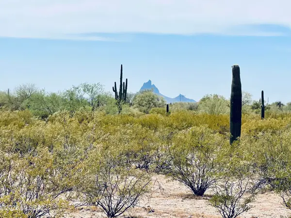 XXX E Vista Grande, Marana, AZ 85658