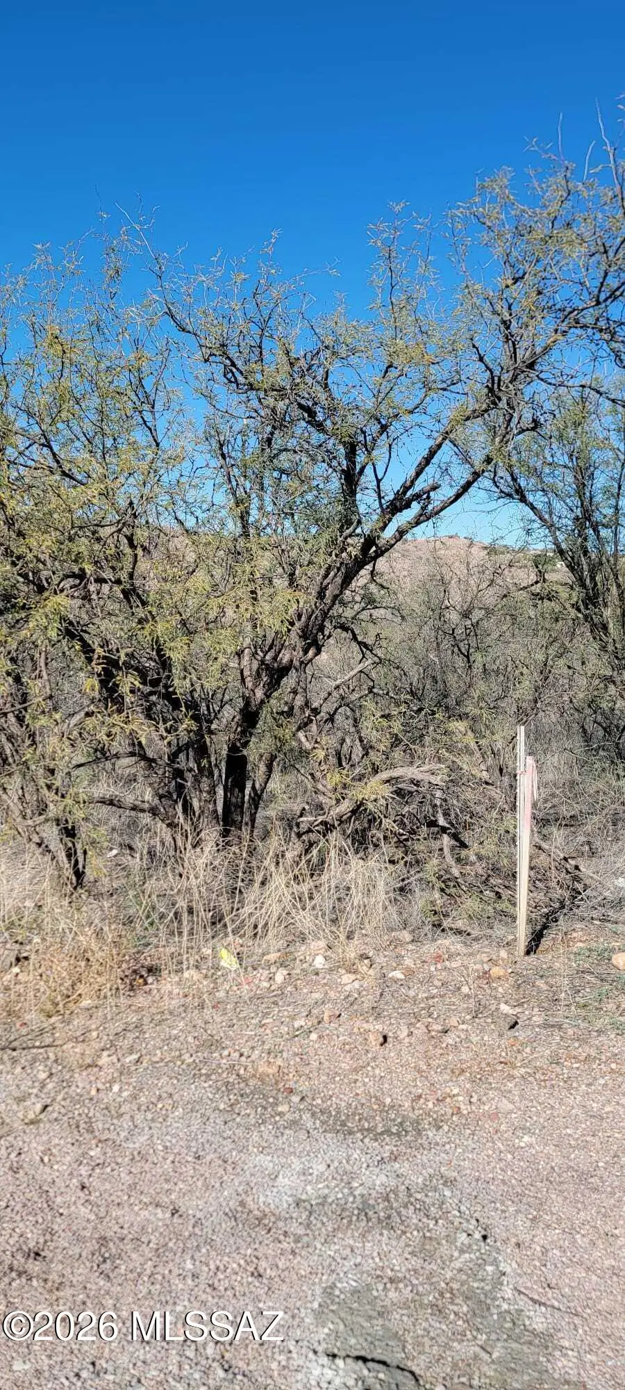 1376 San Blas, Rio Rico, AZ 85648 - #2