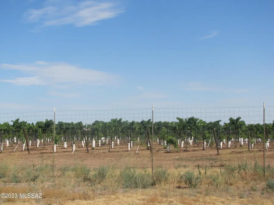 TBD E Christmas Tree, Pearce, AZ 85625 - #3