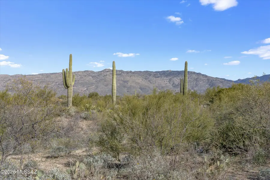 8293 S Tumbling Y Ranch, Vail, AZ 85641 - Image #3