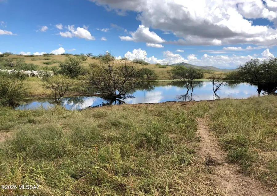 TBD E Walker Ranch, Dragoon, AZ 85609 - #3