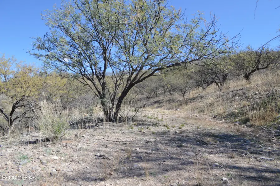 989 Bird, Rio Rico, AZ 85648 - #2