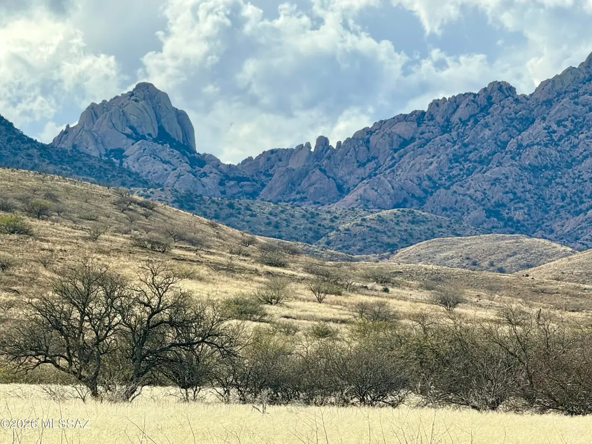 TBD 10 Acr S Cochise Stronghold, Pearce, AZ 85625 - #1