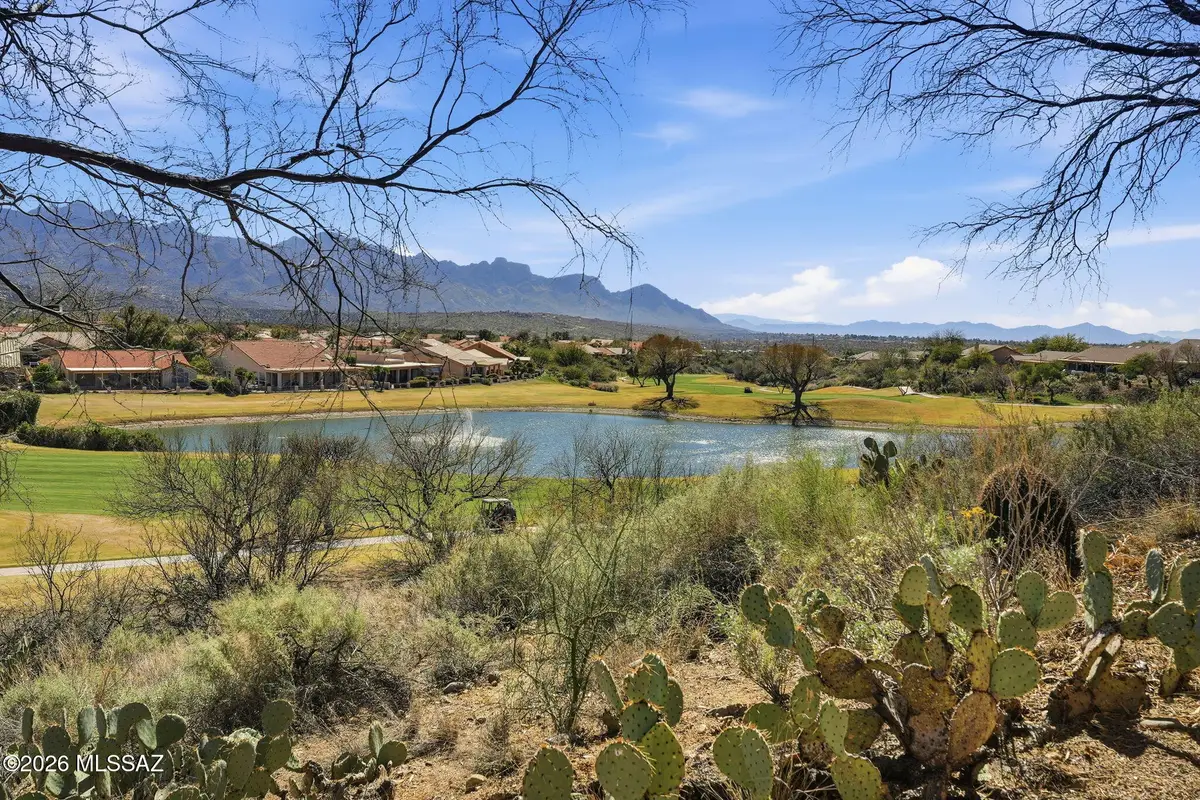 65113 E Brassie, Saddlebrooke, AZ 85739 - #1