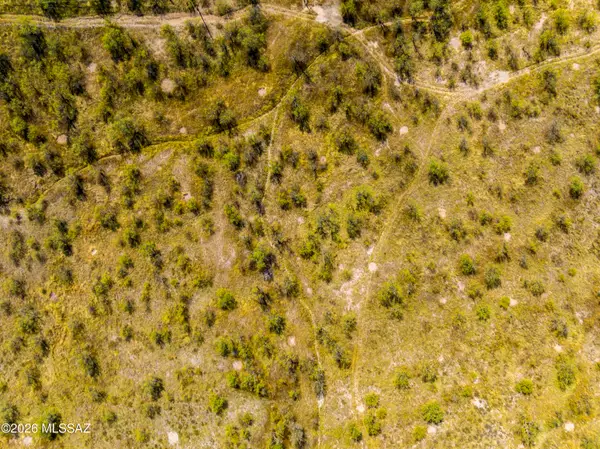 14735 W Jalisco, Arivaca, AZ 85601