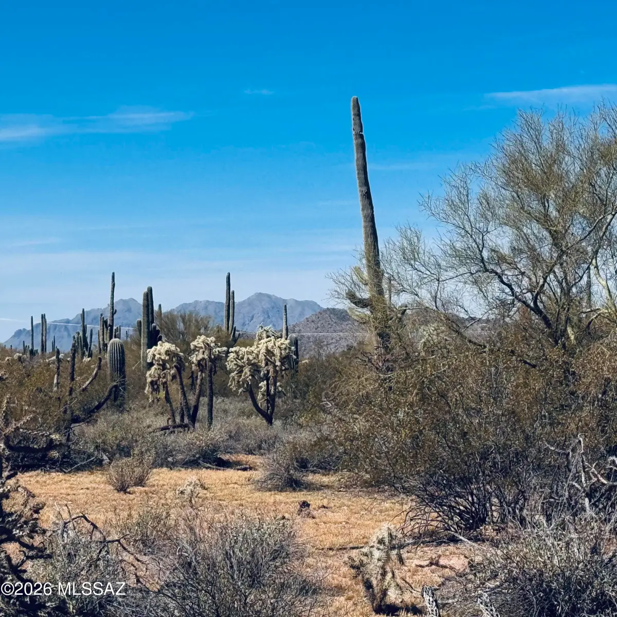 0 S Cattle Tank, Marana, AZ 85653 - #1