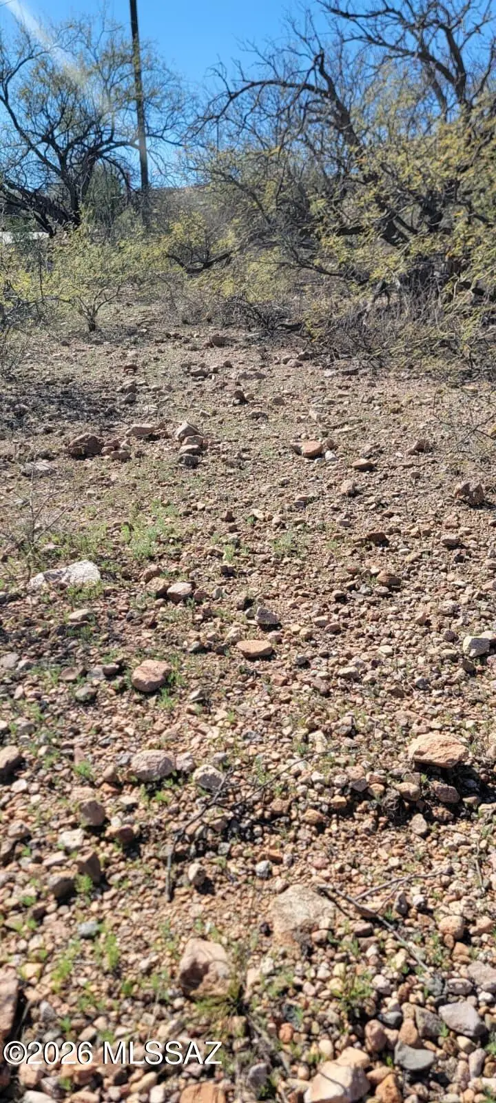 1858 Circulo Glorieta, Rio Rico, AZ 85648 - #2