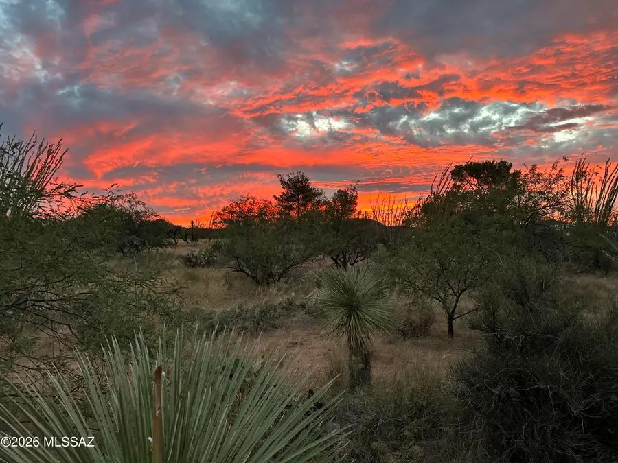 7530 W Bucking Horse, Sahuarita, AZ 85629 - #2