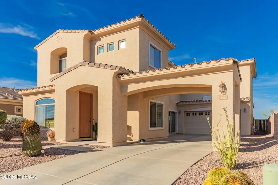 13772 N High Mountain View, Tucson, AZ 85739 - #3