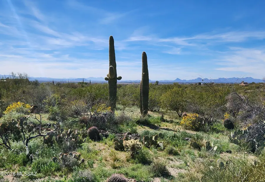 4101 S Escalante Ridge, Tucson, AZ 85730 - #3