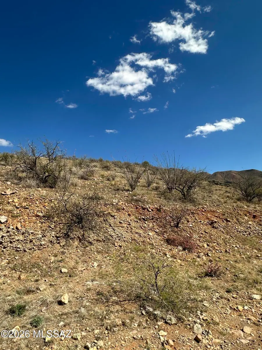 310 Circulo Cerro, Rio Rico, AZ 85648 - #2