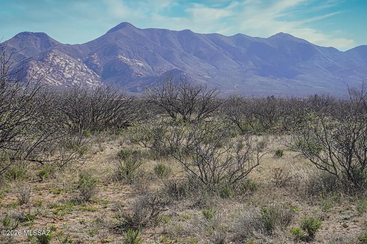 TBD 653 Ac N Wiegand Pratt Rd,, Elfrida, AZ 85610 - #1