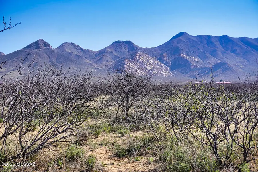 TBD 653 Ac N Wiegand Pratt Rd,, Elfrida, AZ 85610 - #2