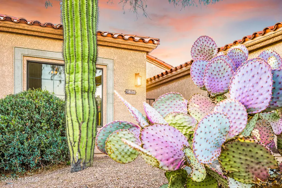 5825 N Misty Ridge, Tucson, AZ 85718 - #2