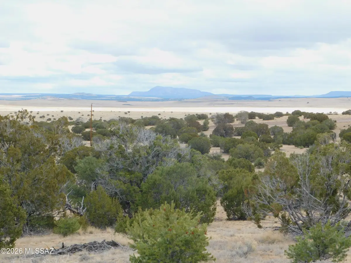 52 Wildflower, Other, AZ 85001 - #1