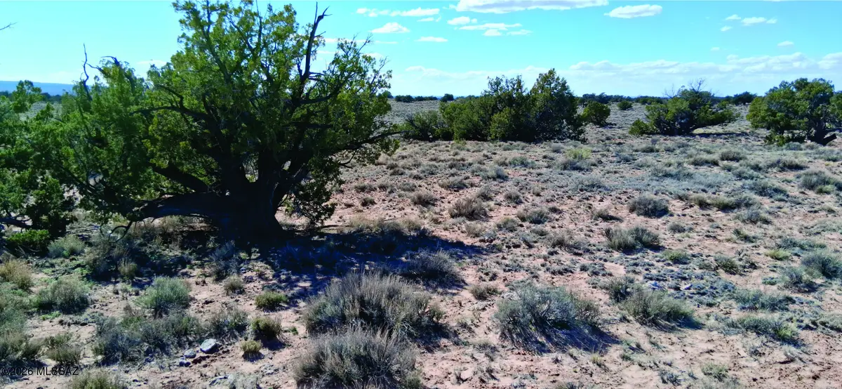 10.1 Acres Unnamed, Sanders, AZ 86512 - #1