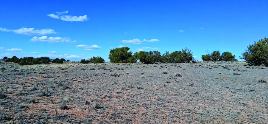 10.1 Acres Unnamed, Sanders, AZ 86512 - #2