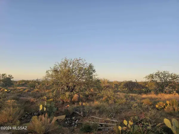 14907 S Carlburg, Tucson, AZ 85736