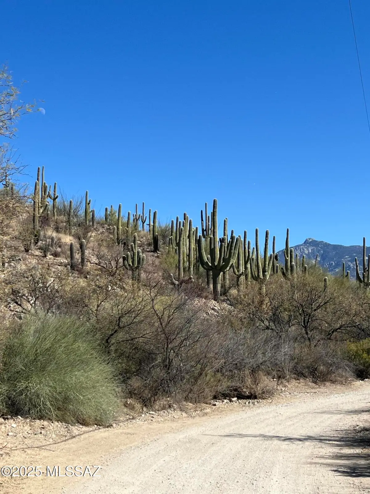 15175 E Rincon Creek Ranch, Tucson, AZ 85747 - #1