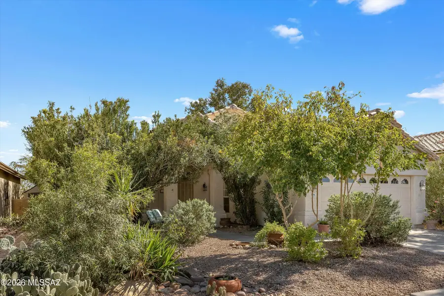 9074 N Safflower, Tucson, AZ 85743 - #3