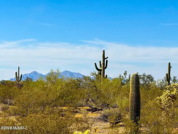 0 E Annadale Rd 5 Acres, Marana, AZ 85658