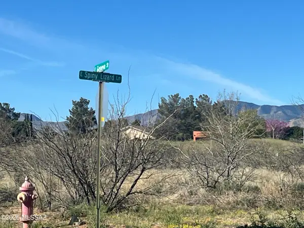 E Geneva, Pearce, AZ 85625