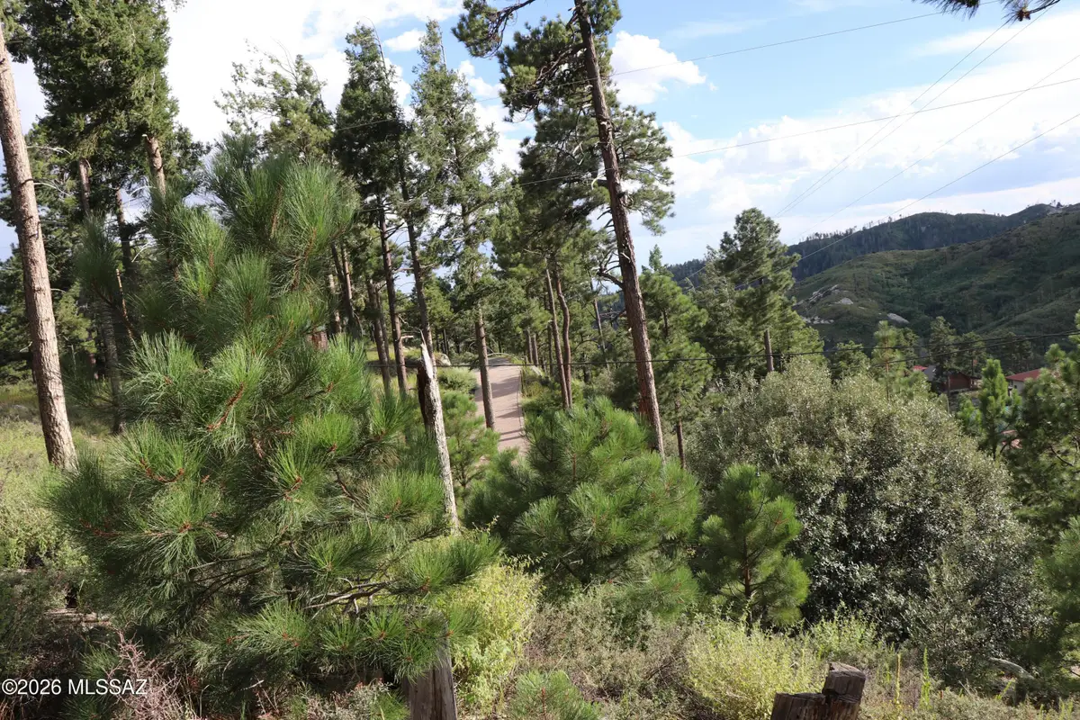 12718 N Upper Loma Linda, Mount Lemmon, AZ 85619 - #1