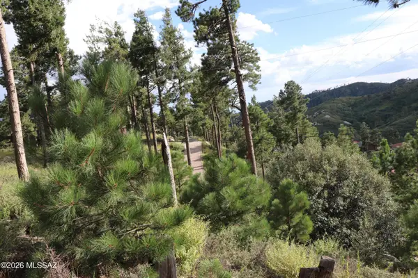 12718 N Upper Loma Linda, Mt. Lemmon, AZ 85619