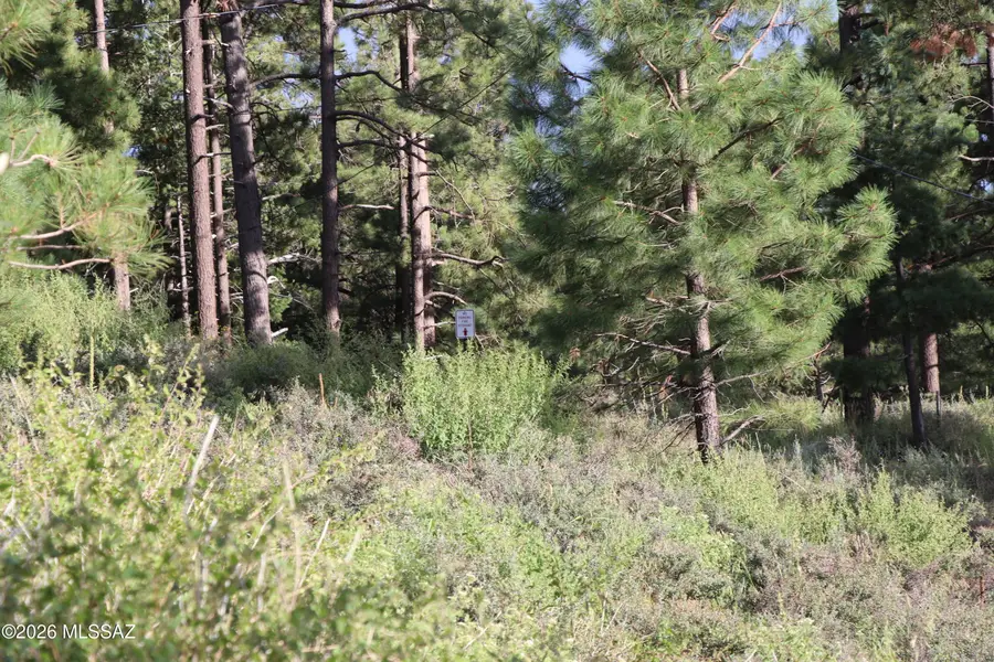 12718 N Upper Loma Linda, Mount Lemmon, AZ 85619 - #3