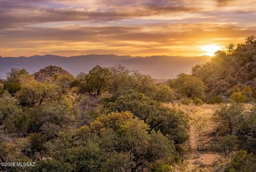 39.5 Acres Off Sam Clemens, Oracle, AZ 85623 - #3