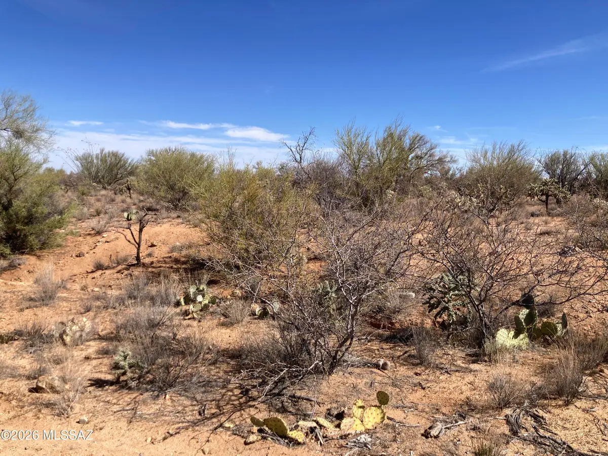 16286 W Renner, Tucson, AZ 85736 - #1